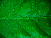 2535205063_2e6d0f7411_z