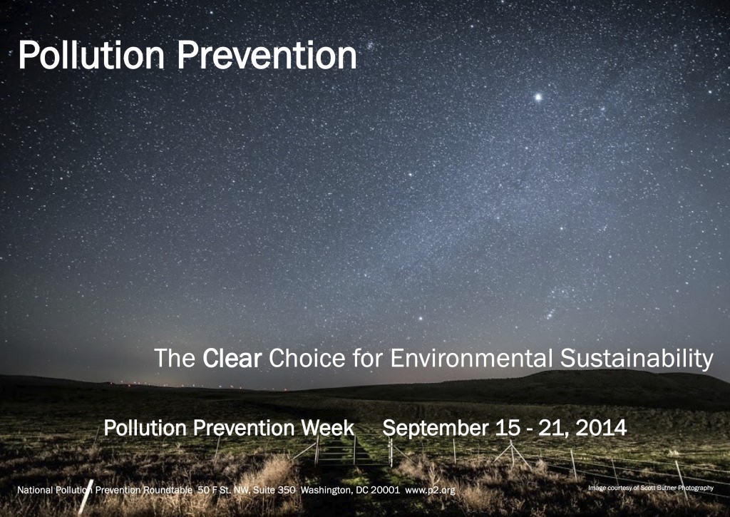 2014 P2 Week Poster-2